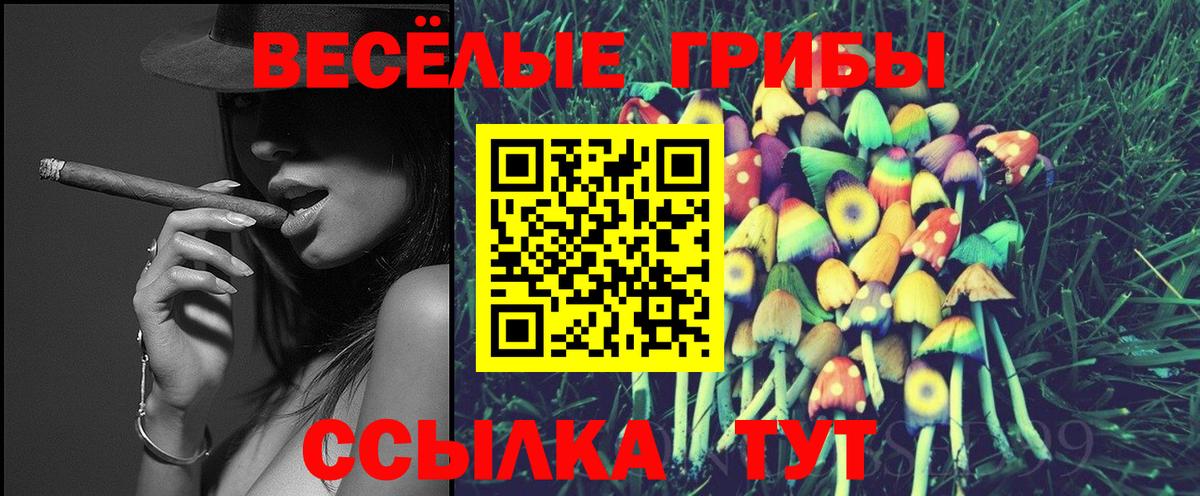 Псилоцибиновые грибы Cubensis  где найти наркотики  Вход с VPN  Сунжа  Галлюциногенные грибы Psilocybine cubensis 