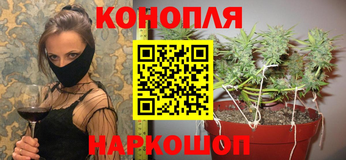 Шишки марихуана гибрид  Бошки Шишки AK-47  Канабис план  Сунжа  Шишки марихуана план  Вход с VPN 